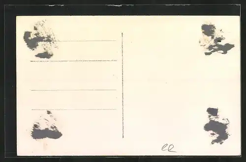 AK Nasavrky, Celkový pohled