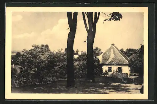 AK Krouna, Hütte am Waldrand