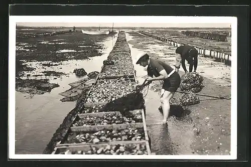 AK La Cote d'Argent Arcachon, au Parc aux huitres, Muschelsammler mit Netzen