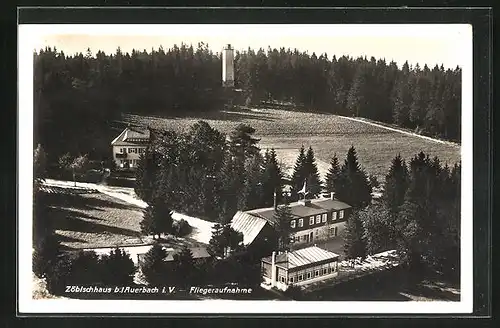 AK Auerbach i. V., Zöbischhaus und Aussichtsturm, Fliegeraufnahme