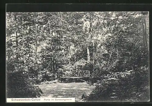 AK Schwarzenbek-Collow, Gartenidylle am Genesungsheim
