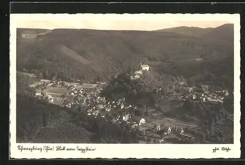 AK Schwarzburg / Thüringen, Panoramablick vom Berg