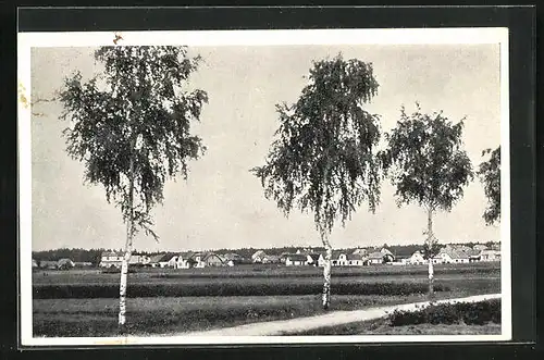 AK Mezimostí n. Nez., Ortsansicht