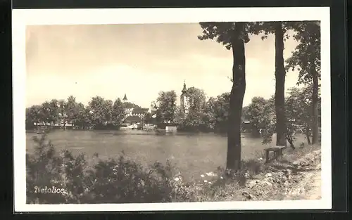 AK Netolice, Seepartie