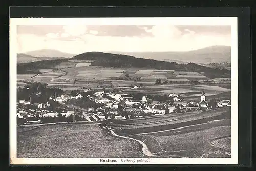 AK Husinec, Celkový pohled