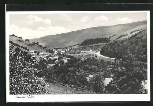 AK Hammer / Eifel, Gesamtansicht