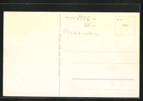 AK Gössweinstein, Gasthaus Stempfermühle vor Bergpanorama