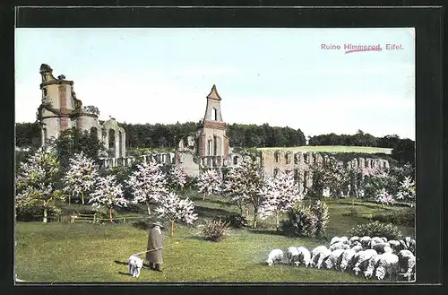 AK Himmerod / Eifel, Blick zur Ruine