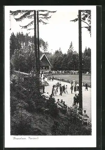 AK Braunlage / Harz, Kurpark