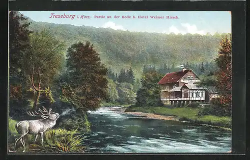 AK Treseburg i. Harz, Partie an der Bode b. Hotel Weisser Hirsch