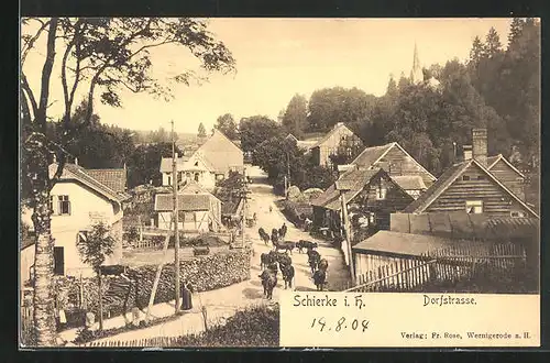 AK Schierke i. H., Viehtrieb auf der Dorfstrasse