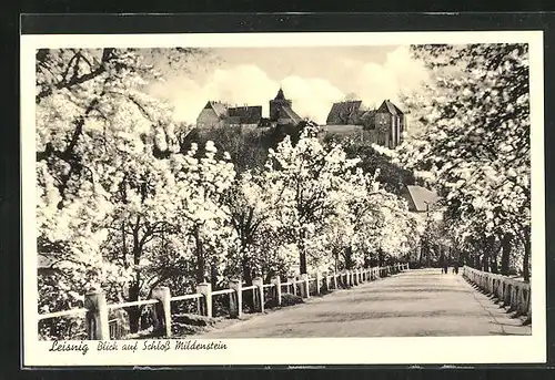 AK Leisnig, Blick auf Schloss Mildenstein zur Baumblüte