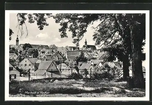 AK Marbach a. Neckar, Ortstotale mit Blick zur Kirche