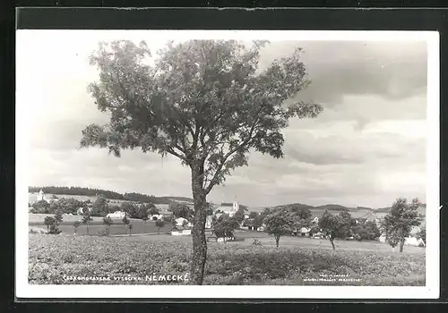 AK Nemecke, Blick von den Feldern auf den Ort und die Kirche