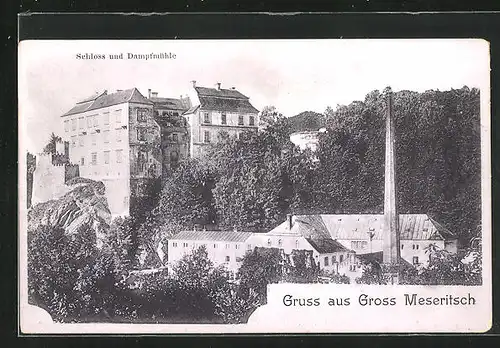 AK Gross Meseritsch, Schloss und Dampfmühle