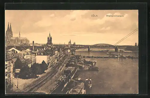 AK Köln, Rheinpromenade aus der Vogelschau