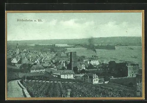 AK Rüdesheim, Ortsansicht und Rheinpartie aus der Vogelschau