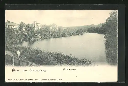 AK Straussberg, Villen am Ufer des Schwanensee