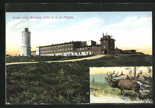 AK Brocken, Wetterwarte, Turm, Hirsch