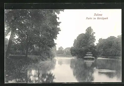 AK Dahme, Partie im Schlosspark