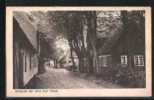 AK Nieblum /Föhr, Dorfstrasse mit Häusern