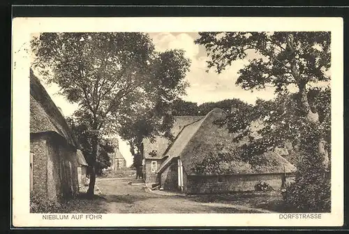 AK Nieblum /Föhr, Dorfstrasse mit Häusern