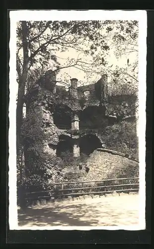 Foto-AK Heidelberg, An der Schlossruine, ca. 1930