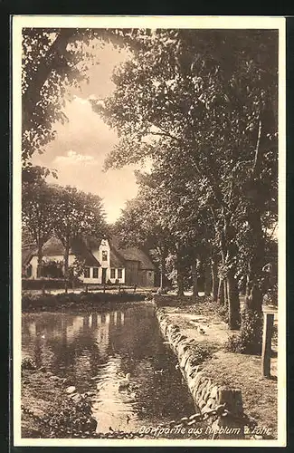 AK Nieblum a. Föhr, Dorfpartie mit Bach und Enten