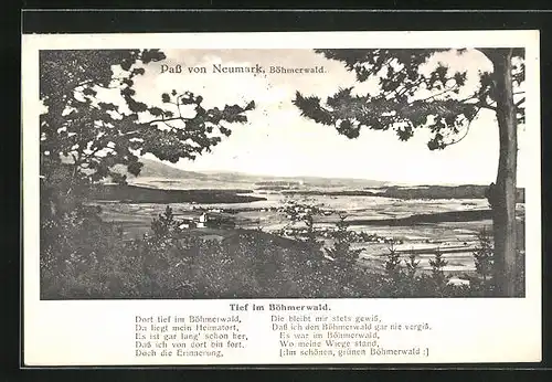 AK Pass von Neumark /Böhmerwald, Panorama mit Bäumen