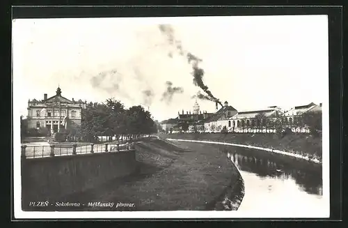AK Plzen, Sokolovna, Mestansky pivovar