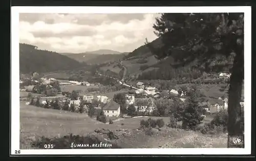 AK Rejstejn /Sumava, Ortsansicht vor einer Tanne