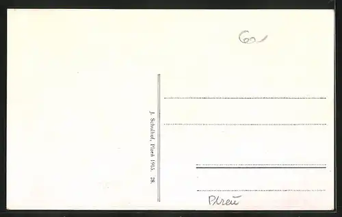 AK Plzen, Hotel Waldek