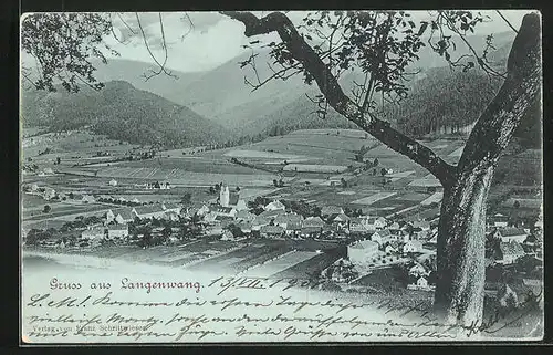 Mondschein-AK Langenwang, Teilansicht mit Baum