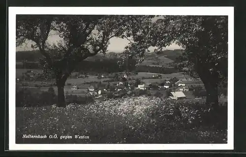 AK Natternbach, Teilansicht mit Bäumen gegen Westen