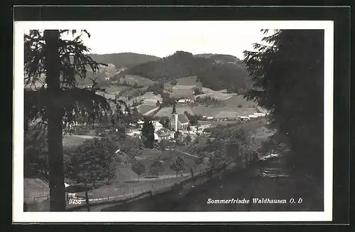 AK Waldhausen /O.-D., Teilansicht mit Kirche und Bäumen