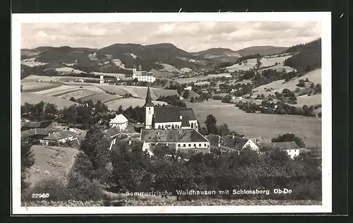 AK Waldhausen, Teilansicht mit Kirche und Schlossberg