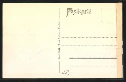 AK Malchin i. Meckl., Panorama, Kirche und Fangelturm