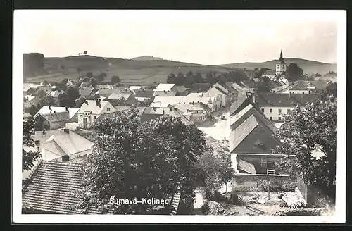 AK Kolinec /Sumava, Teilansicht mit Strassenpartie