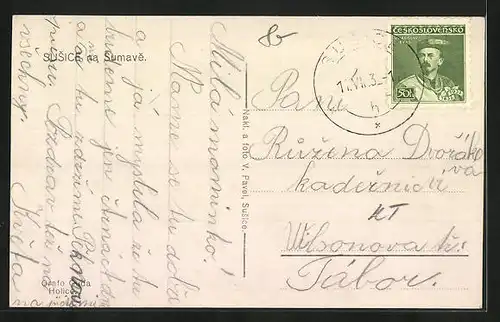 AK Susice na Sumave, Panorama