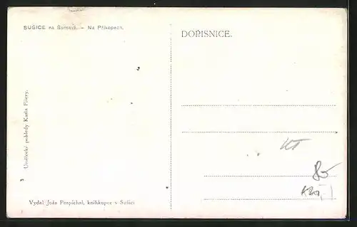 Künstler-AK Susice na Sumave, Na Prikopech