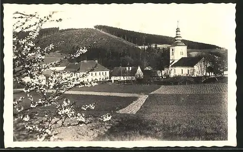 AK Kolinec /Sumava, Ortspartie mit Kirche