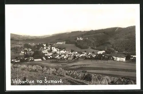 AK Velhartice /Sumava, Totalansicht mit Burg