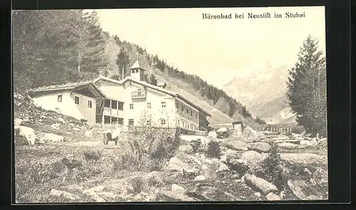 AK Bärenbad bei Neustift, Ortsansicht mit Haus und Alpen