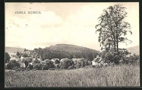 AK Ceská Kubice, Panorama mit Wohnhaus