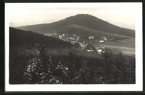 AK Podzámcí, Ortspartie mit bewaldetem Berg
