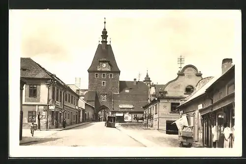 AK Domazlice, Dolejsí predmestí s branou