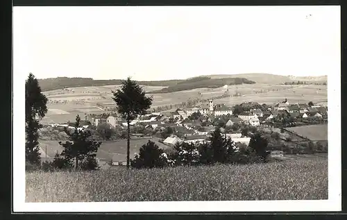 AK Plánice, Celkovy pohled