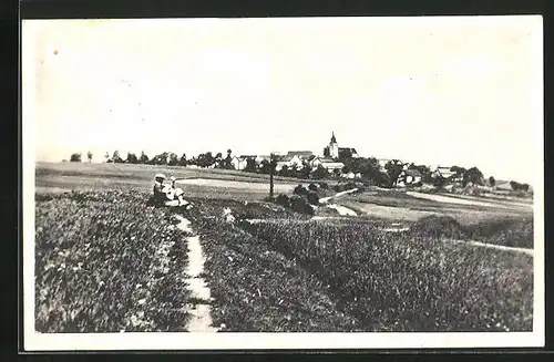 AK Myslív, Panorama mit Feldweg