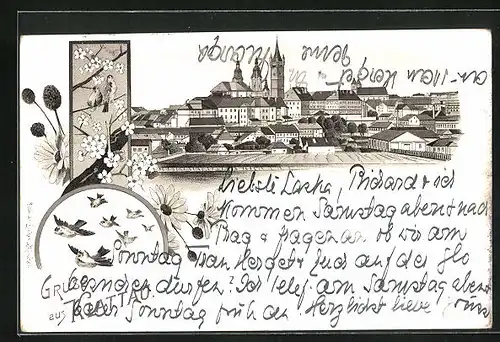 Lithographie Klattau, Panorama