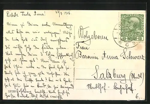 AK Pitten, Teilansicht